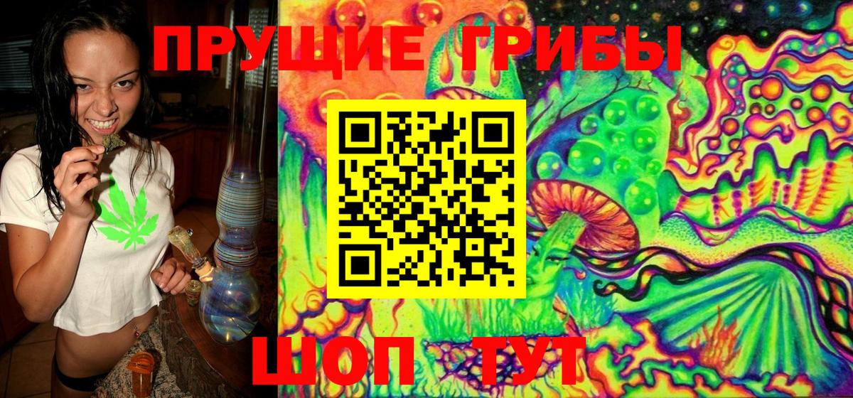 Псилоцибиновые грибы Psilocybe  Вход с VPN  Галлюциногенные грибы GOLDEN TEACHER  Унеча 